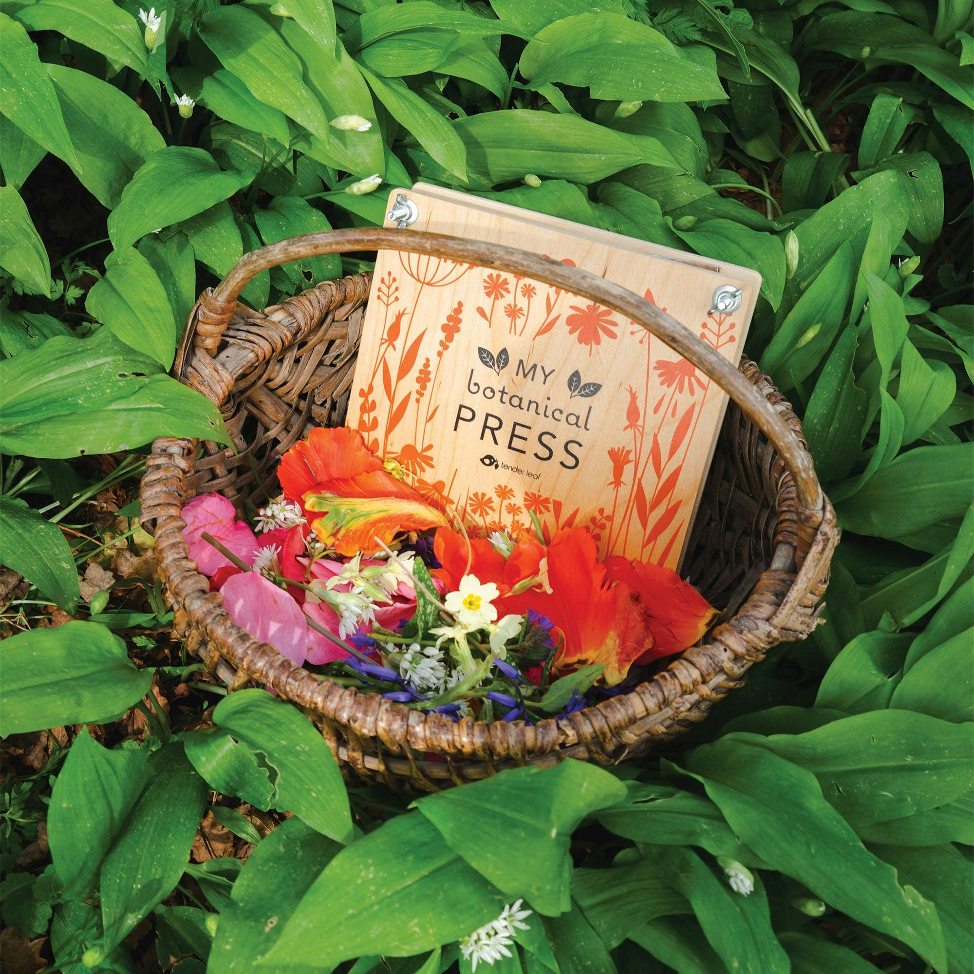 My Botanical Press