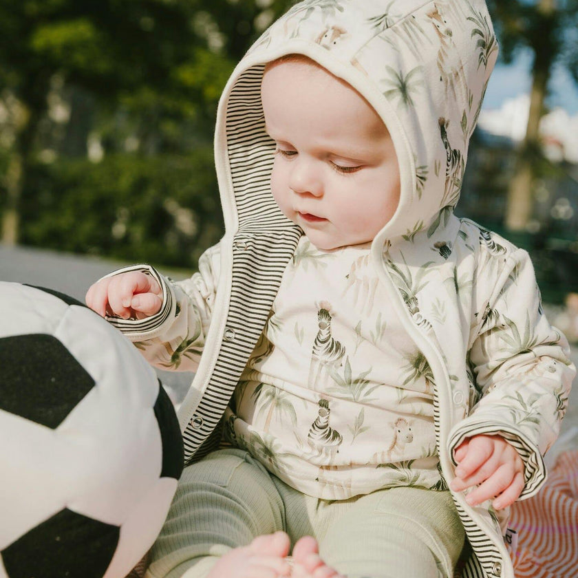 Organic Cotton Jersey T-Shirt And Cotton Rib Pants Set