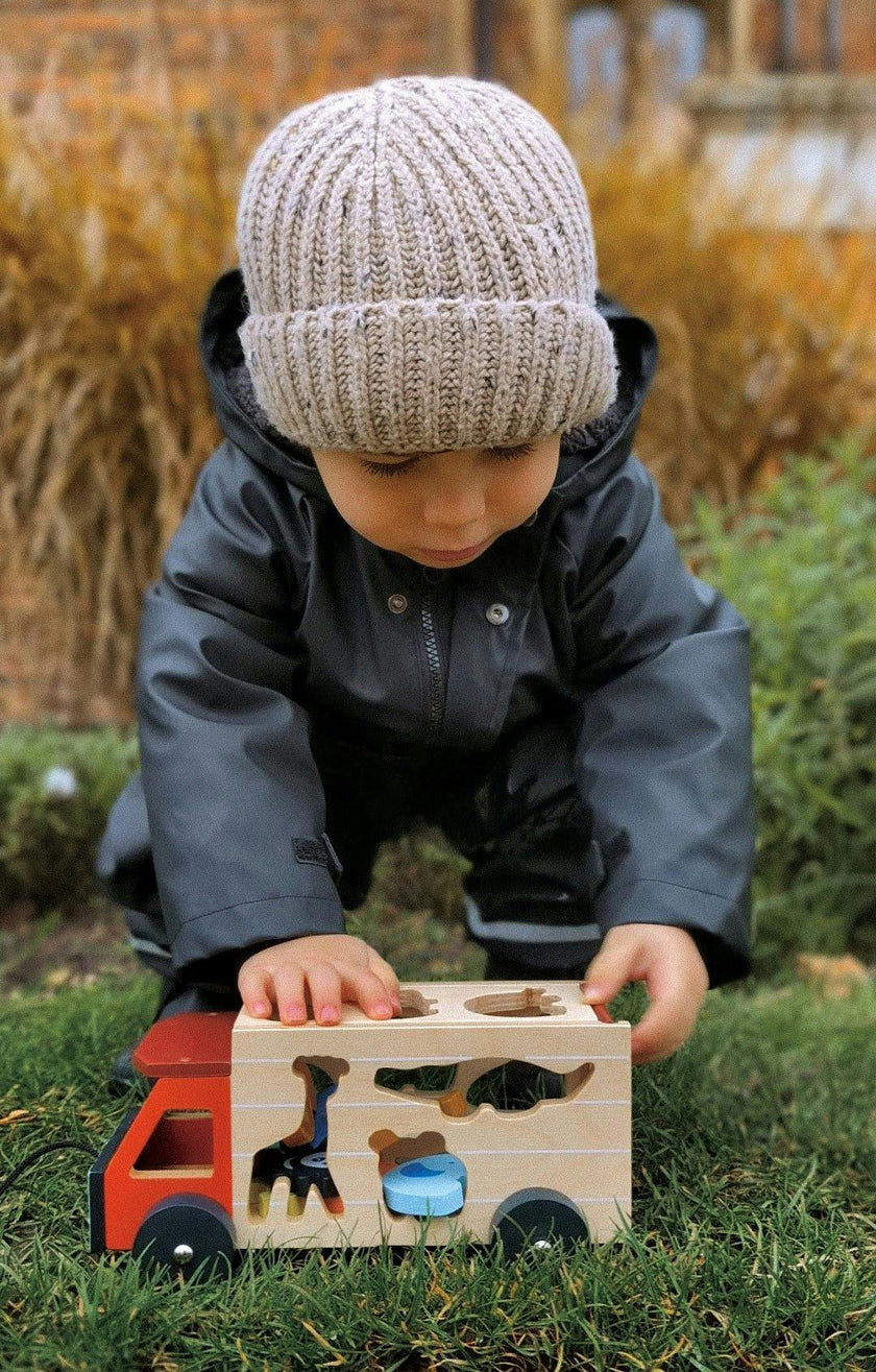 Shape Sorting Safari Truck