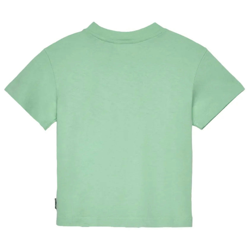 Green Neck Logo Brushed Tee