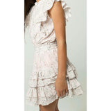Gustavia Dress Pink Mini Roses