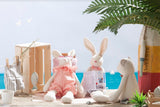 Josephine the Rabbit | Red Stripes Print