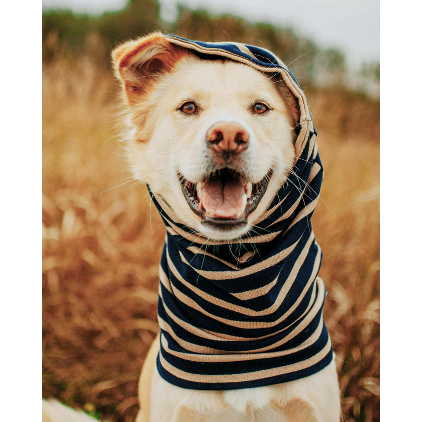 MB SNOOD