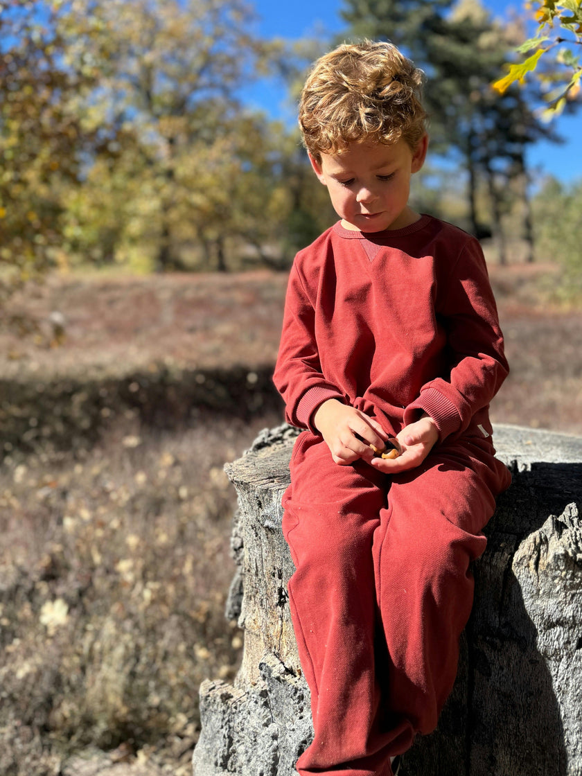 TARQUIN pique sweatshirt burgundy