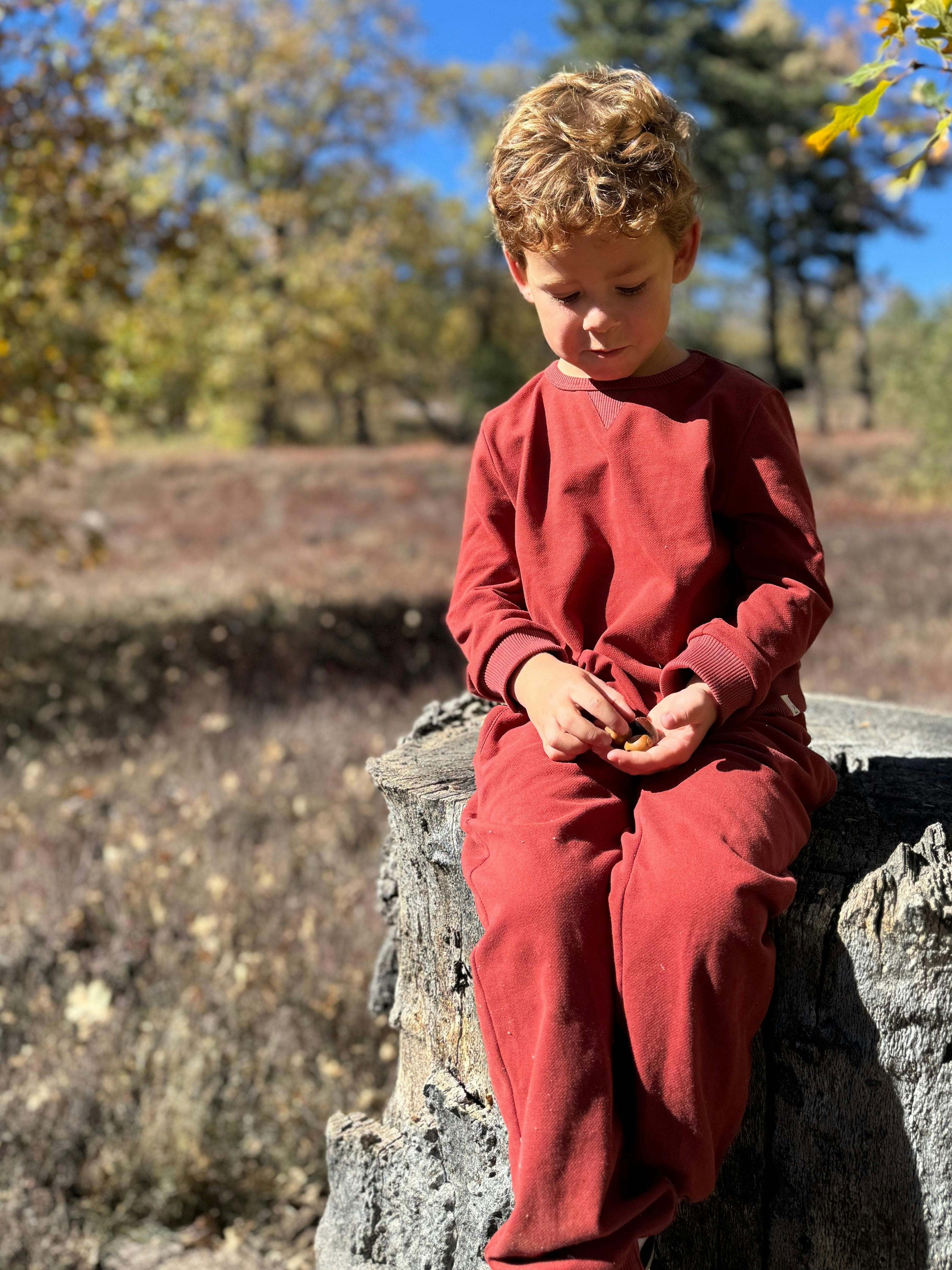 TARQUIN pique sweatshirt burgundy