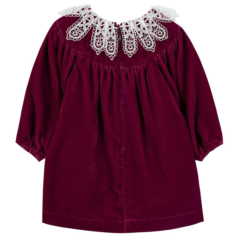 Dress With Lace Collar