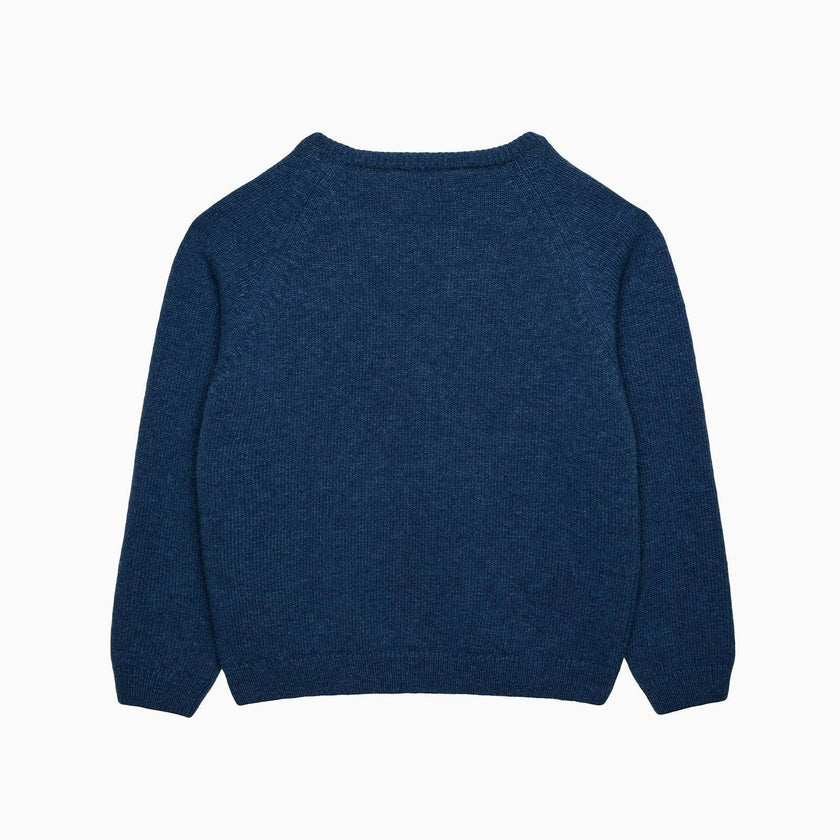 Bug Sweater