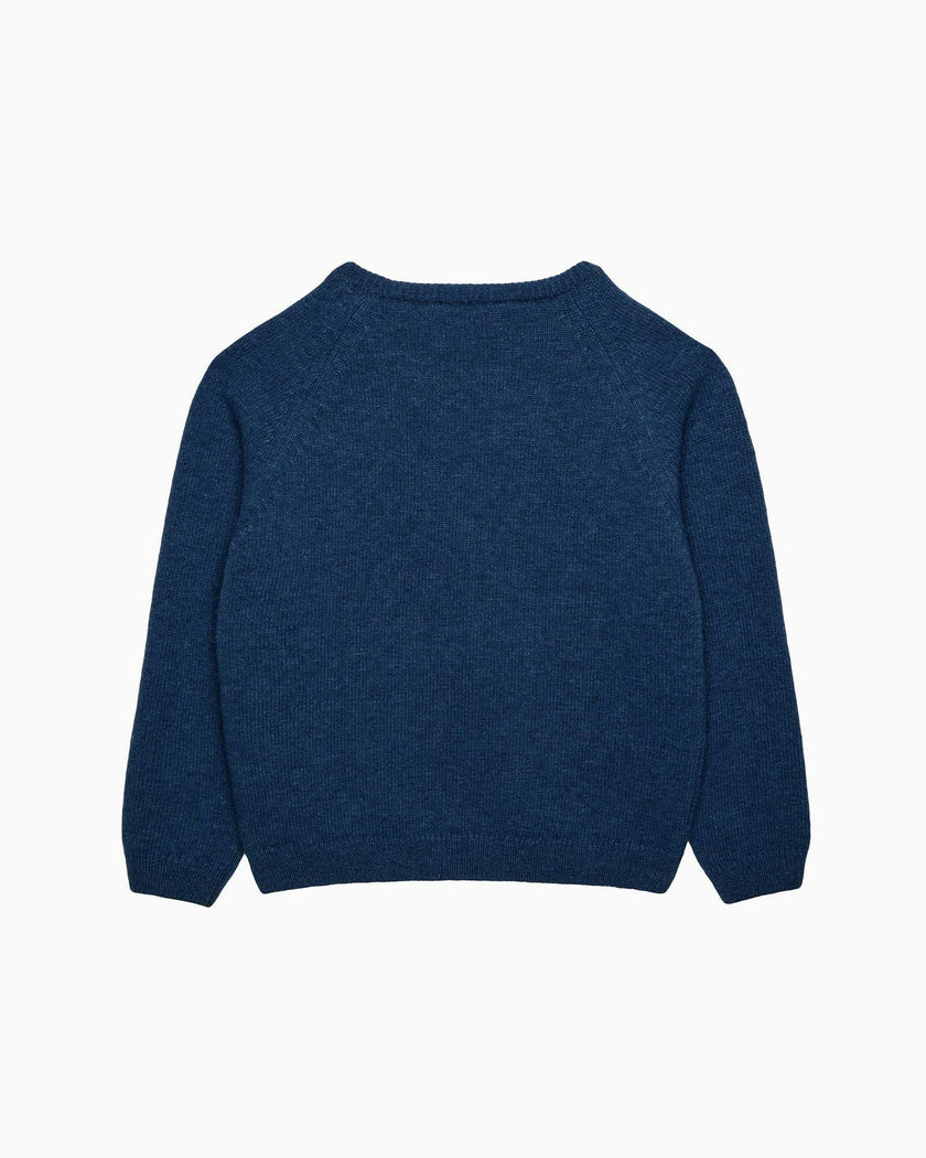 Bug Sweater