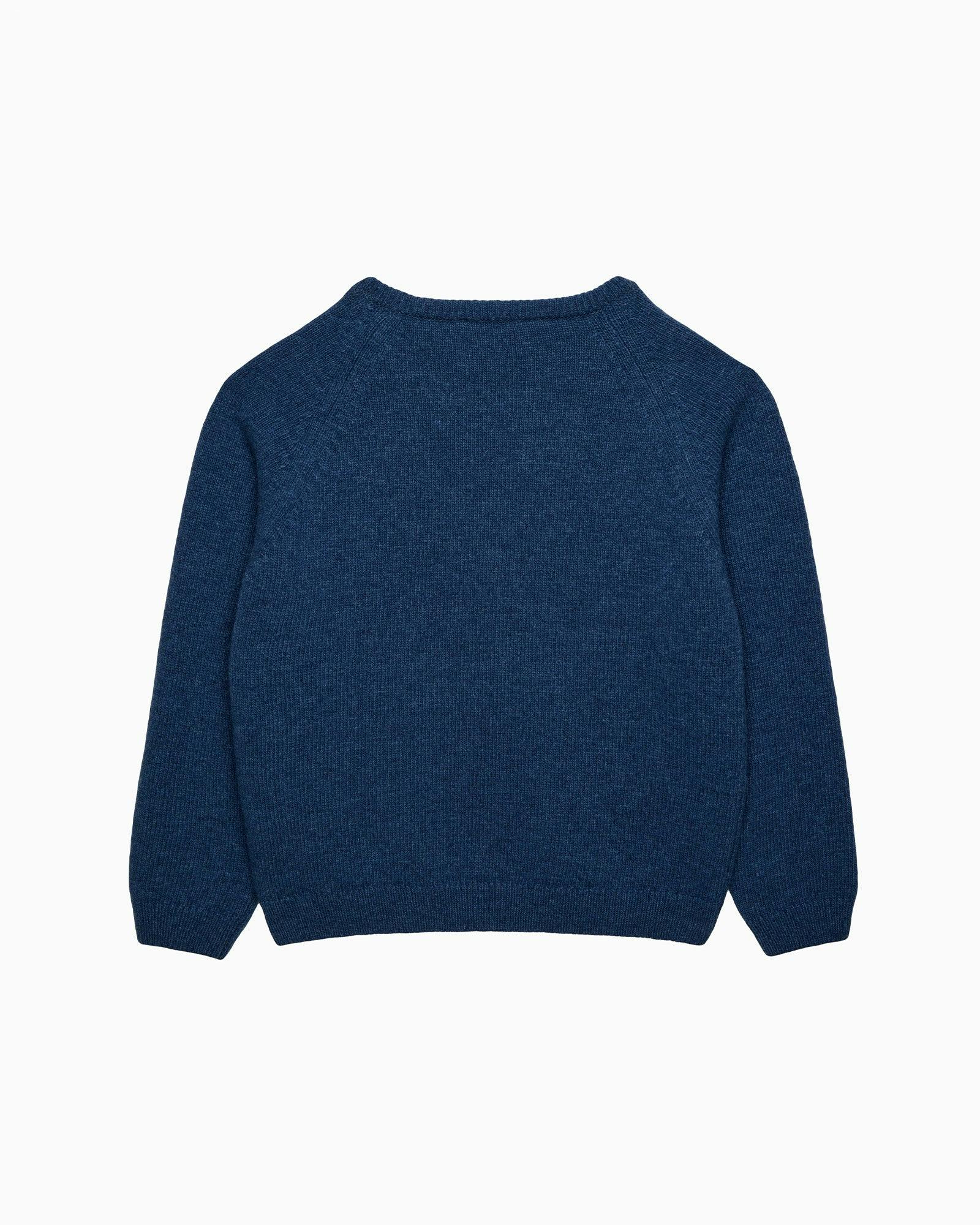 Bug Sweater