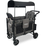 Elite Double Wagon Style Stroller