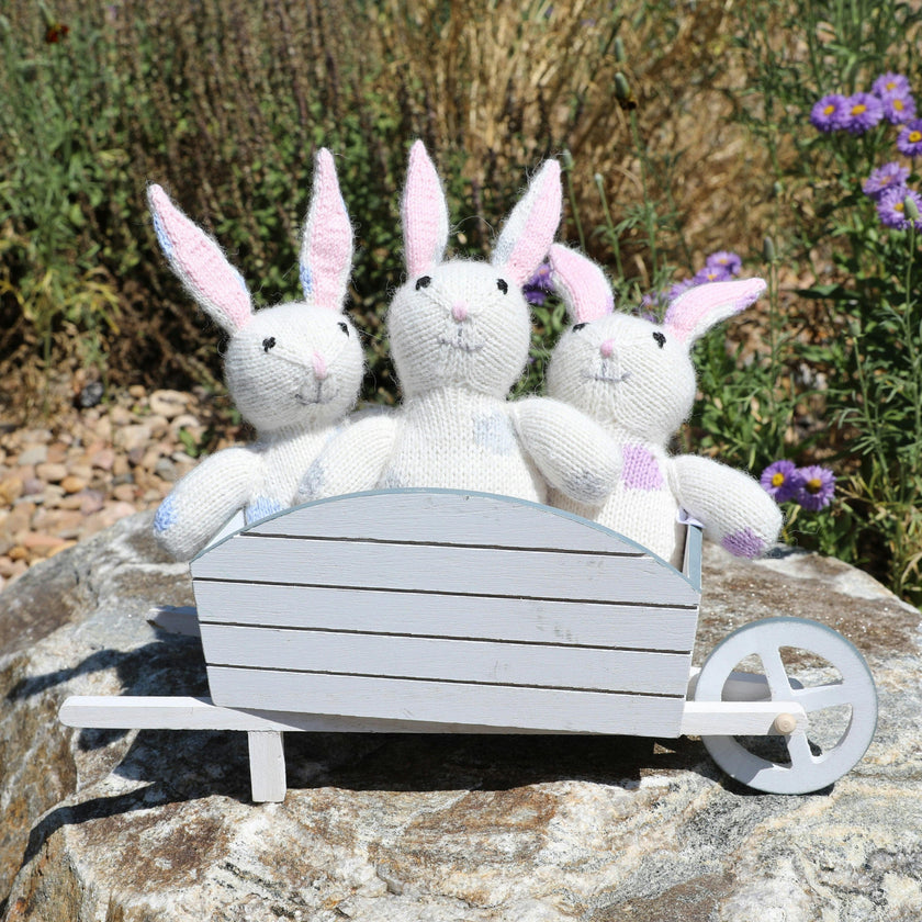 Bunnies with Pastel Spots