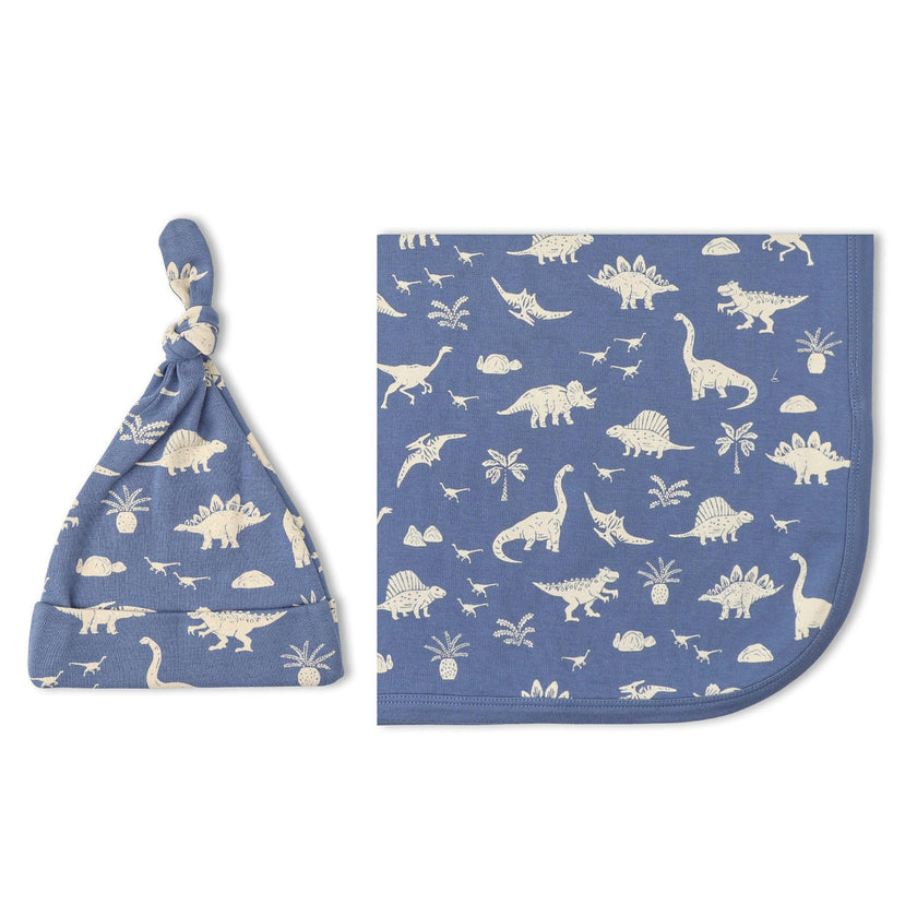 Organic Swaddle Blanket & Hat Set