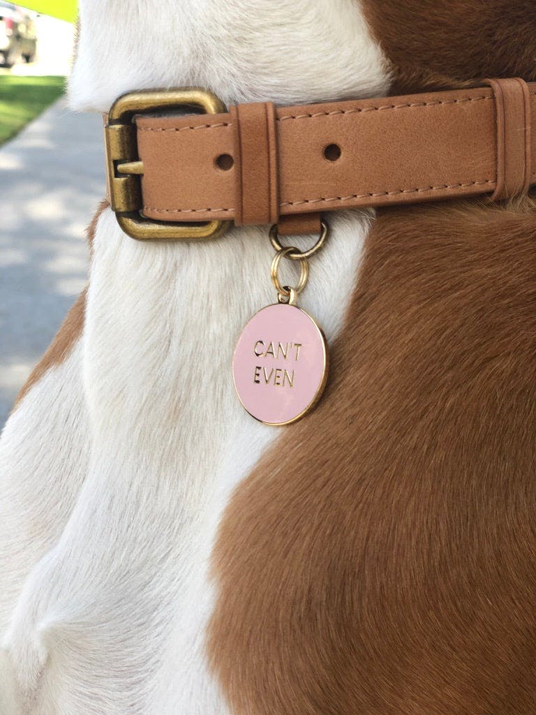 Cant Even Pet ID Tag