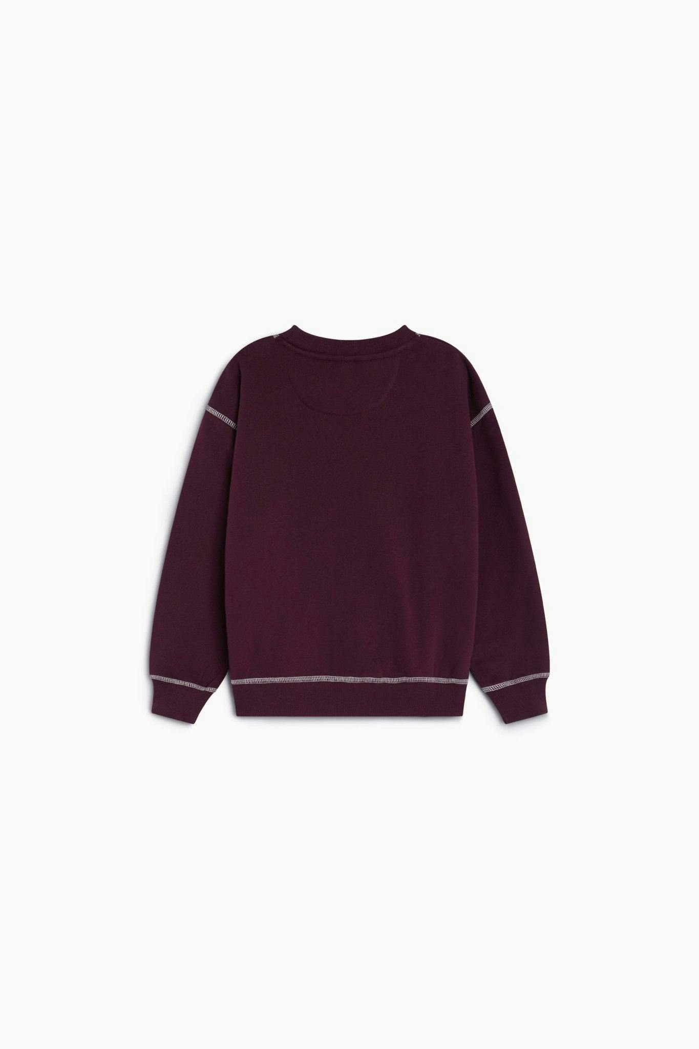 TNS Logo Special Sweatshirt Winetasting