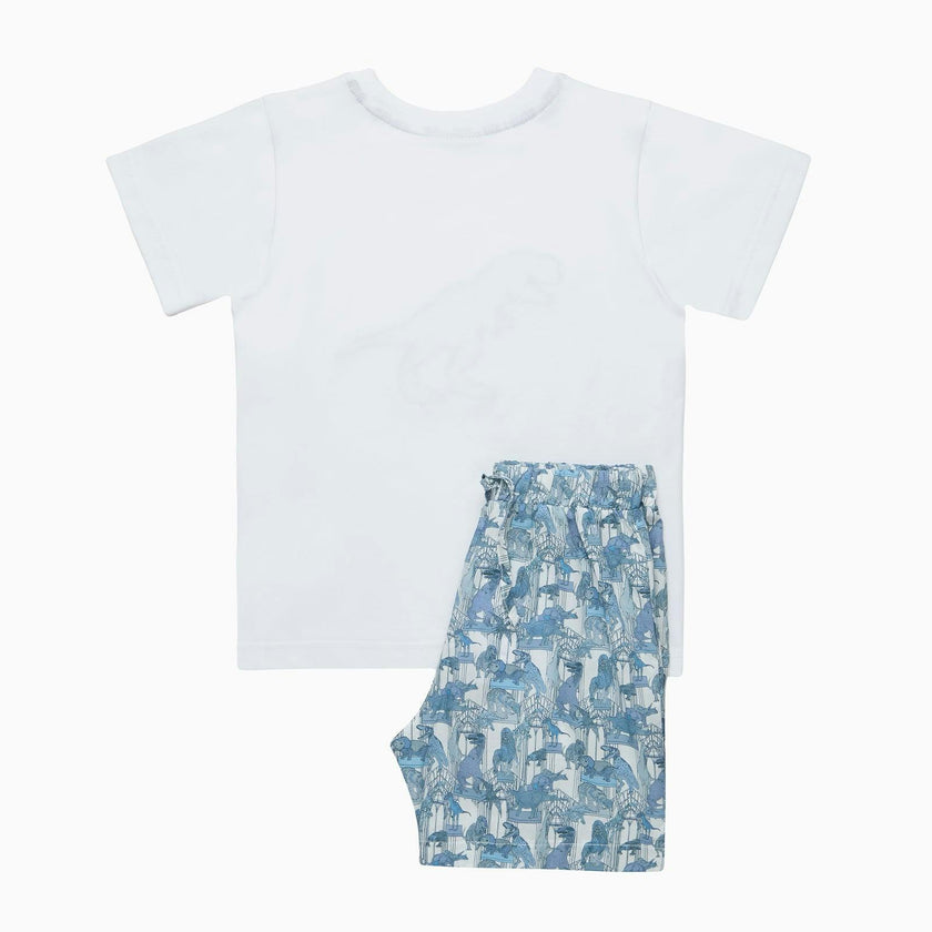 Dinosaur Jersey Pajamas