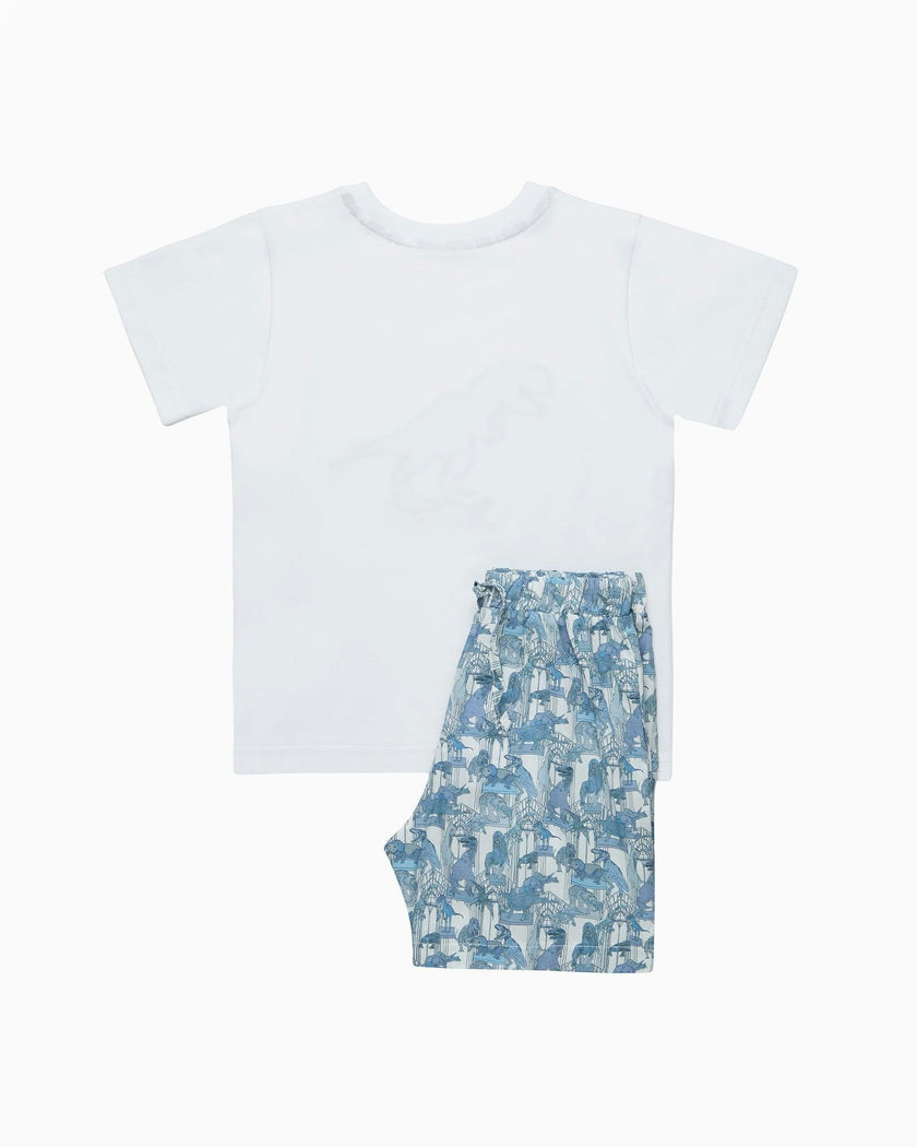 Dinosaur Jersey Pajamas
