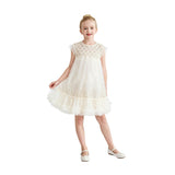 Beige Renoria Lace Sparkle Dress