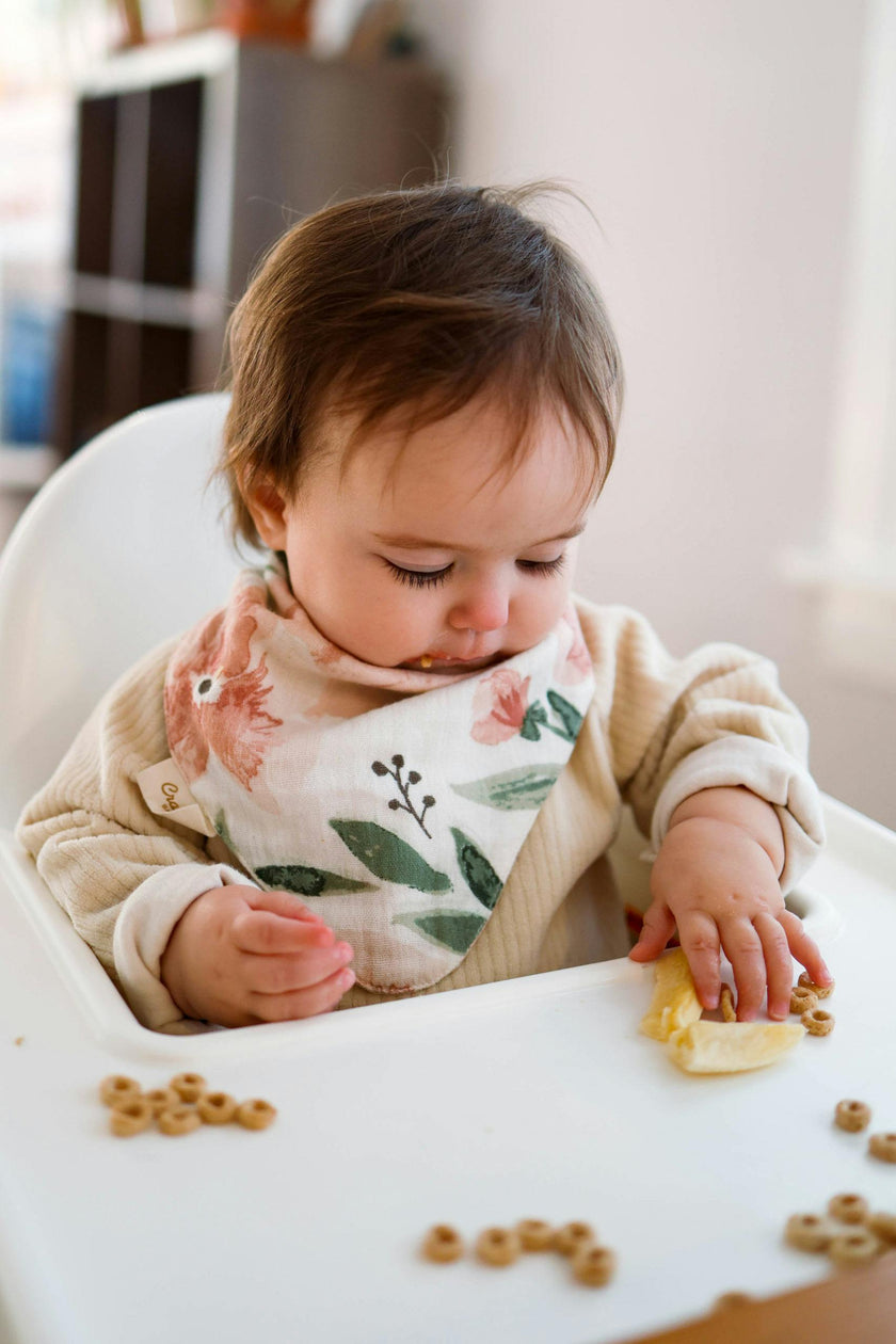 Parker Floral Cotton Bandana Baby Bib (3 Pack)