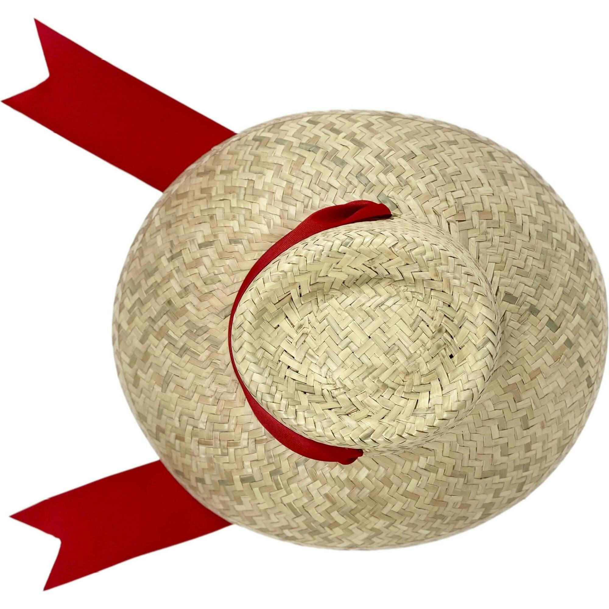 Women's Amaryllis Wide & Short Brim Grosgrain Ribbon Sun Hat