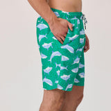 Mens Reef Swim Short