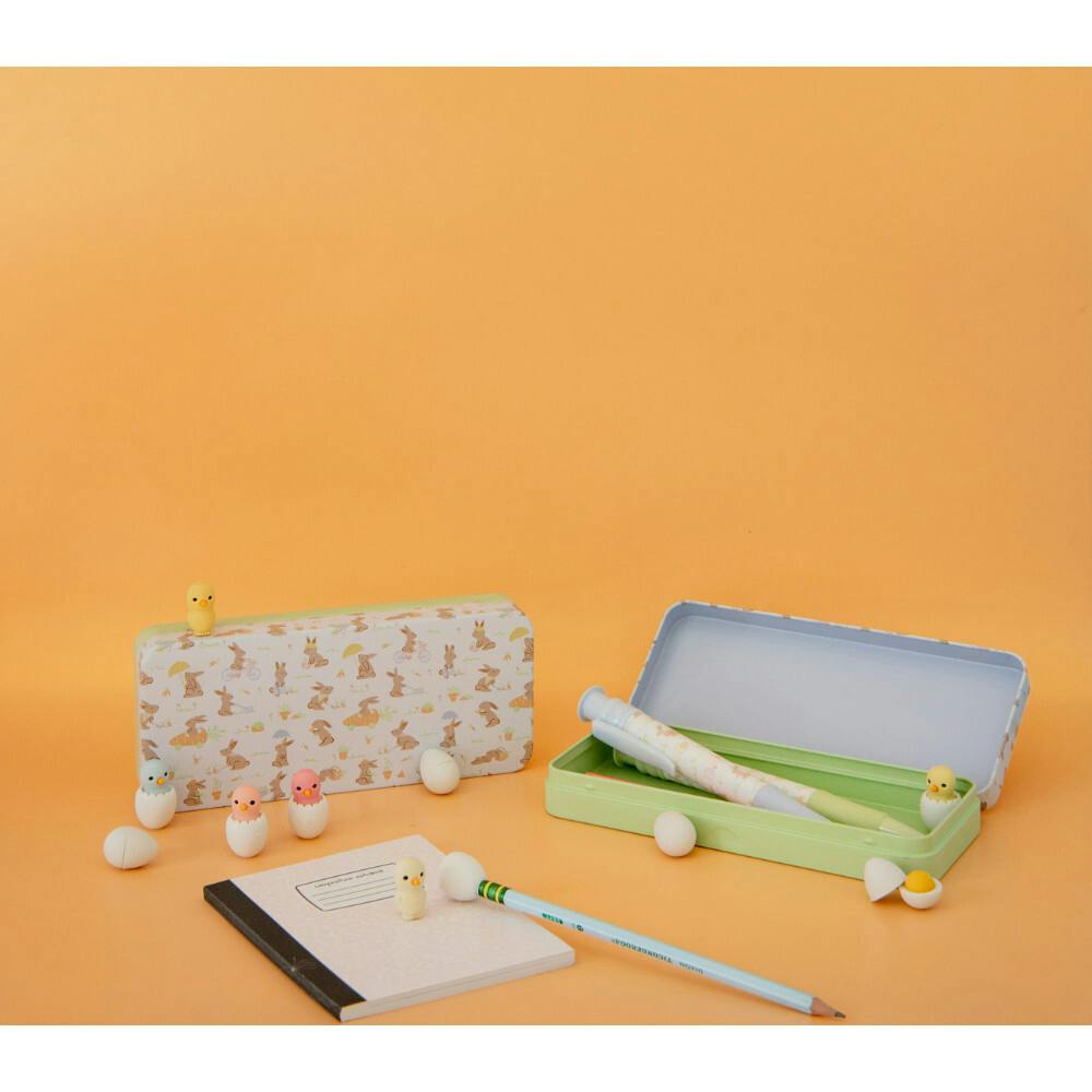 Chicks Eraser Set