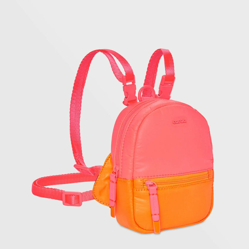 Dog Backpack