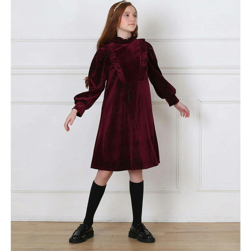 Lena dress (garnet velvet)