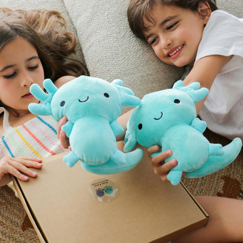 Hermelindo, Axolotl Plush Toy - OS