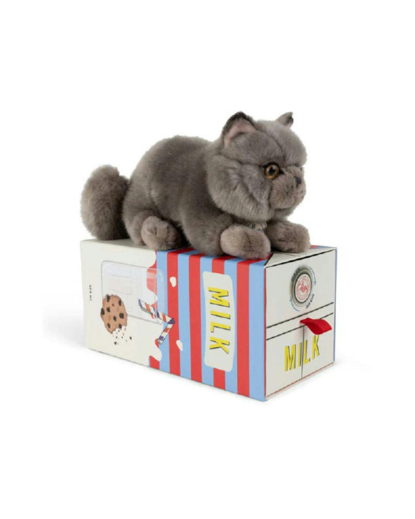 Plush BT CHAPS Freddy the British Shorthair in giftbox ECO 7"