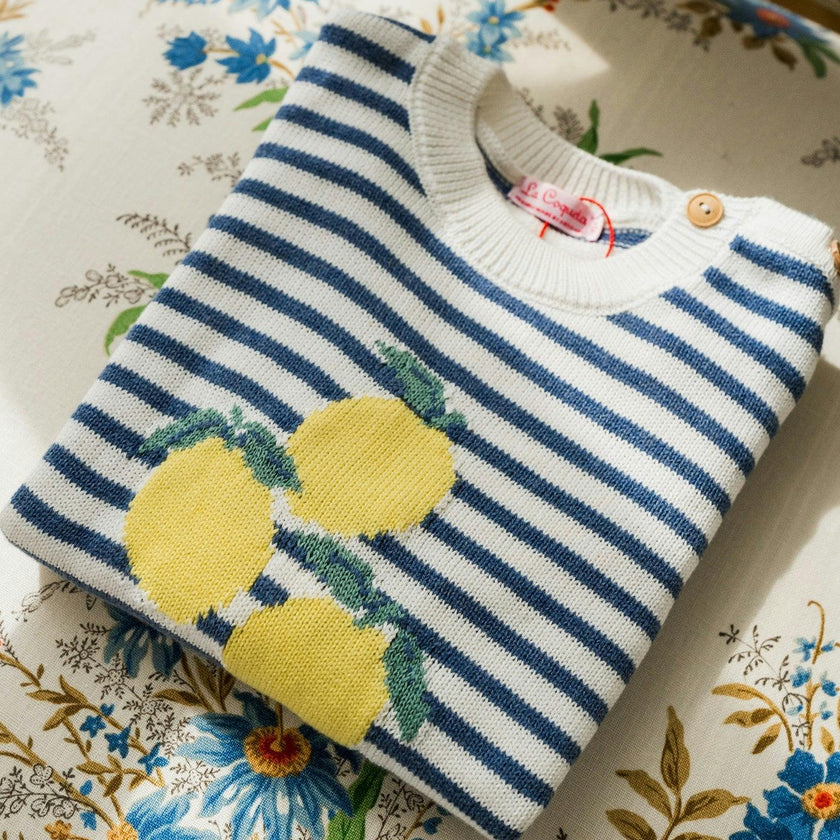 Blue Stripe Limon Cotton Boy Jumper