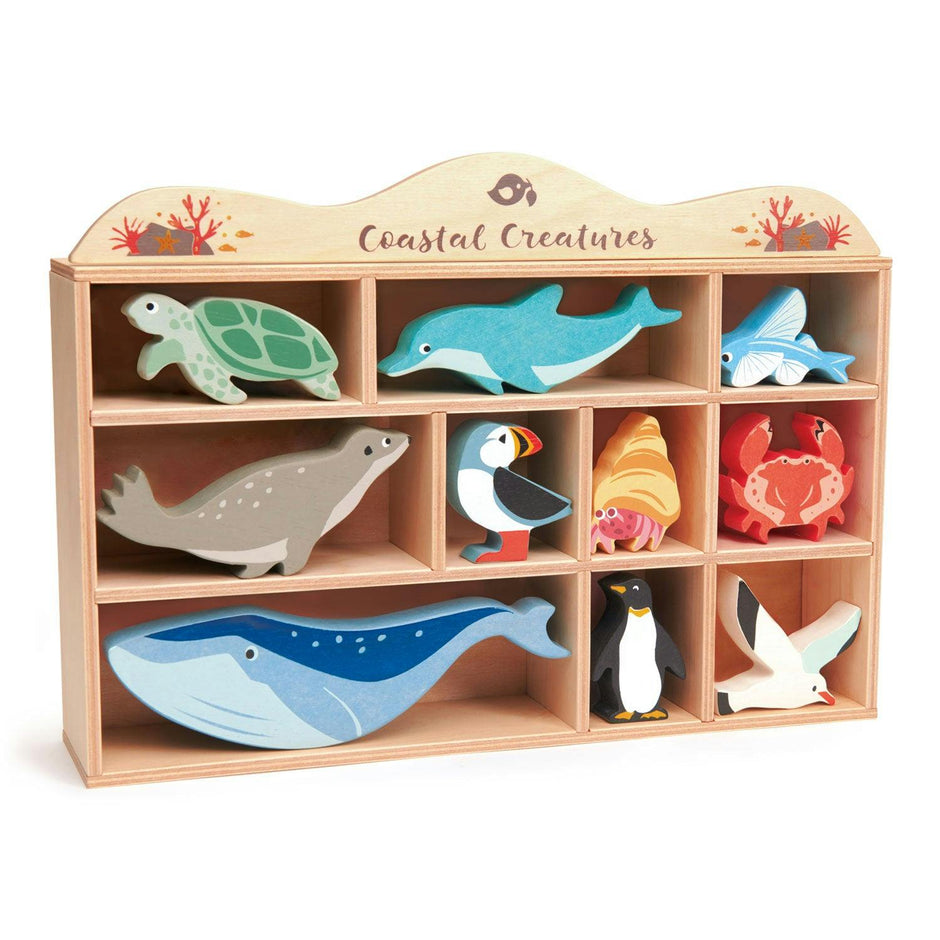 Coastal Animals
