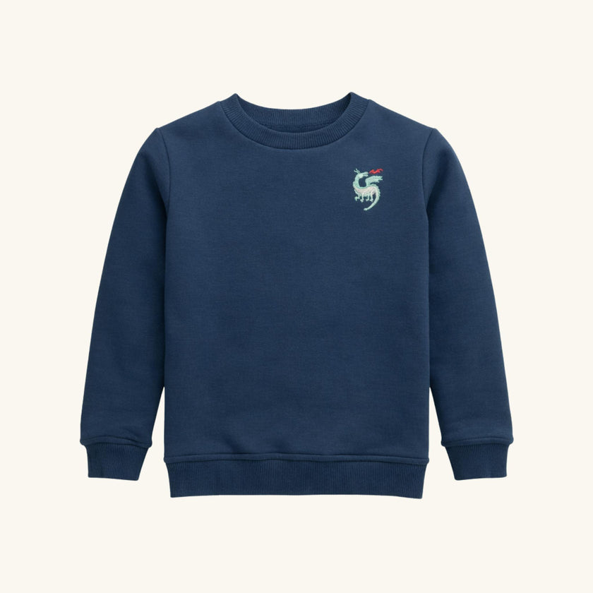 Boys' Sweatshirt in Dragon