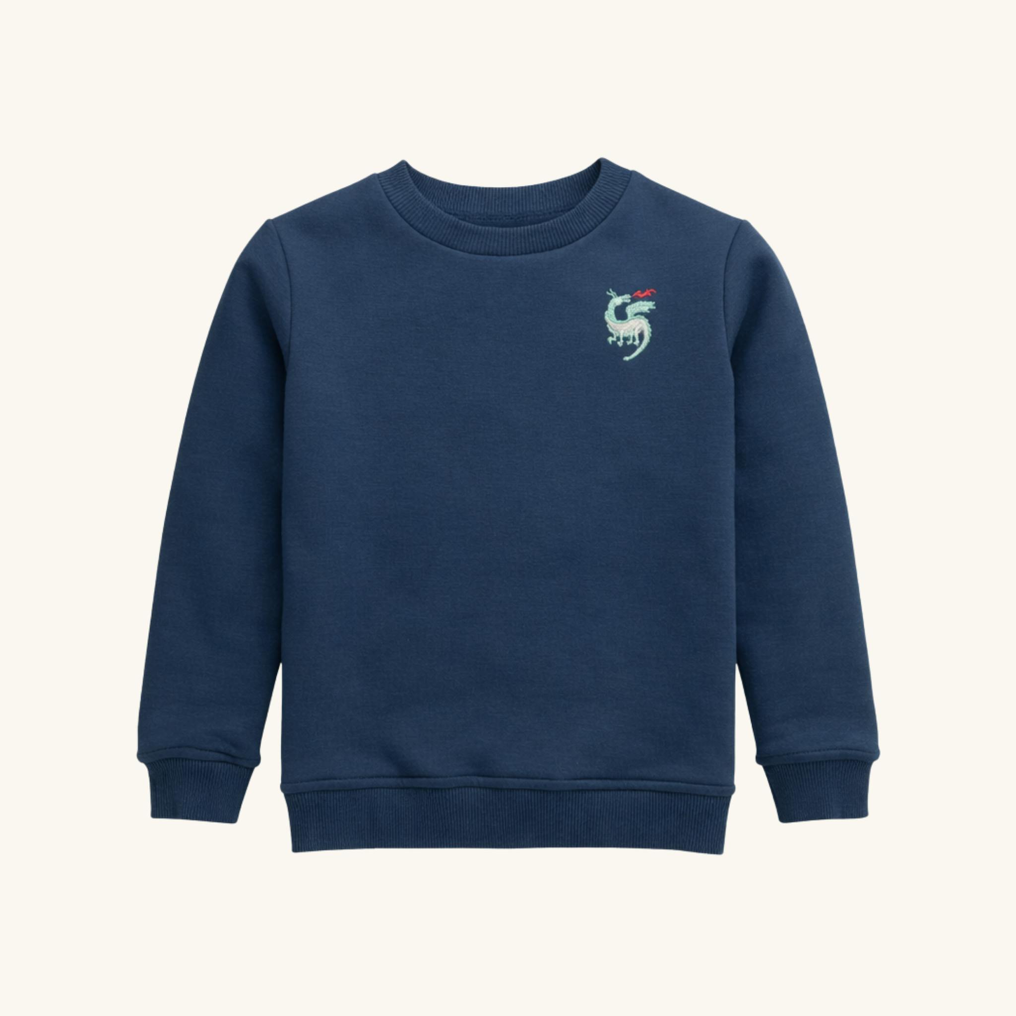 Boys' Sweatshirt in Dragon