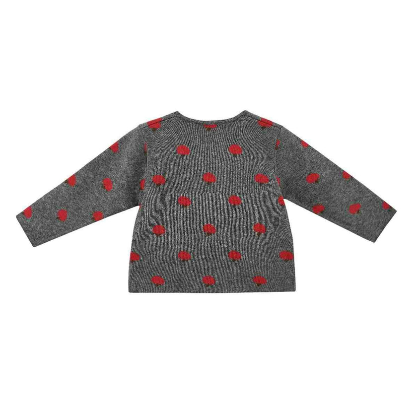 Gray Apple Knit Set