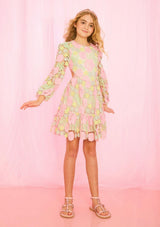 Estella Embroidered Mini Dress
