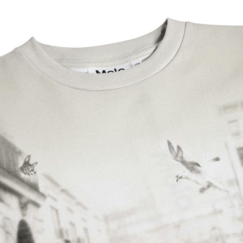 Gray Riley CurioCity Dogs T-Shirt