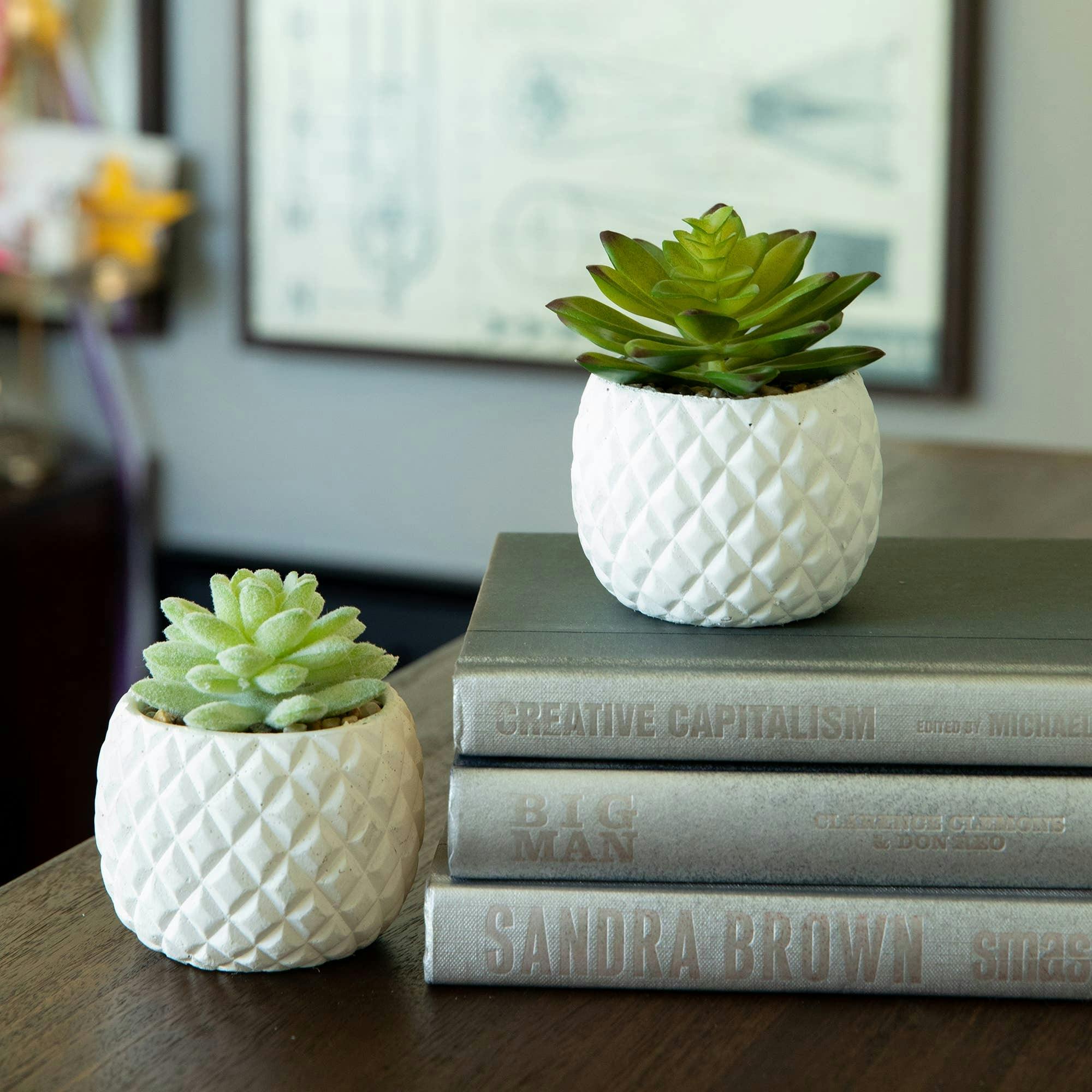Pineapple Pot Faux Succulents