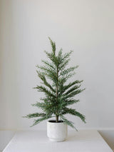 2' Faux Cedar Tree, Set of 2
