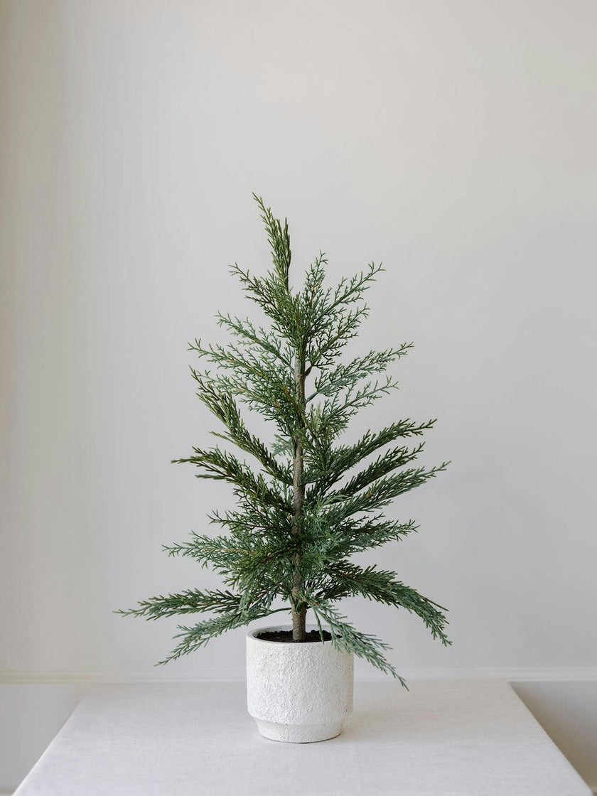 2' Faux Cedar Tree, Set of 2