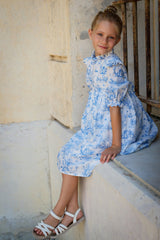 Aoki Blue Toile Dress | Short Sleeve