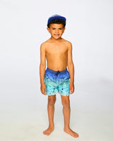 Boardshorts