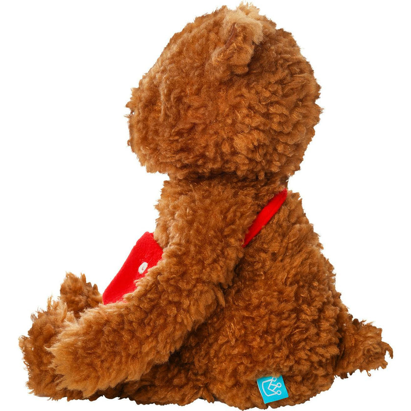 Imaginaries Bruno Bear