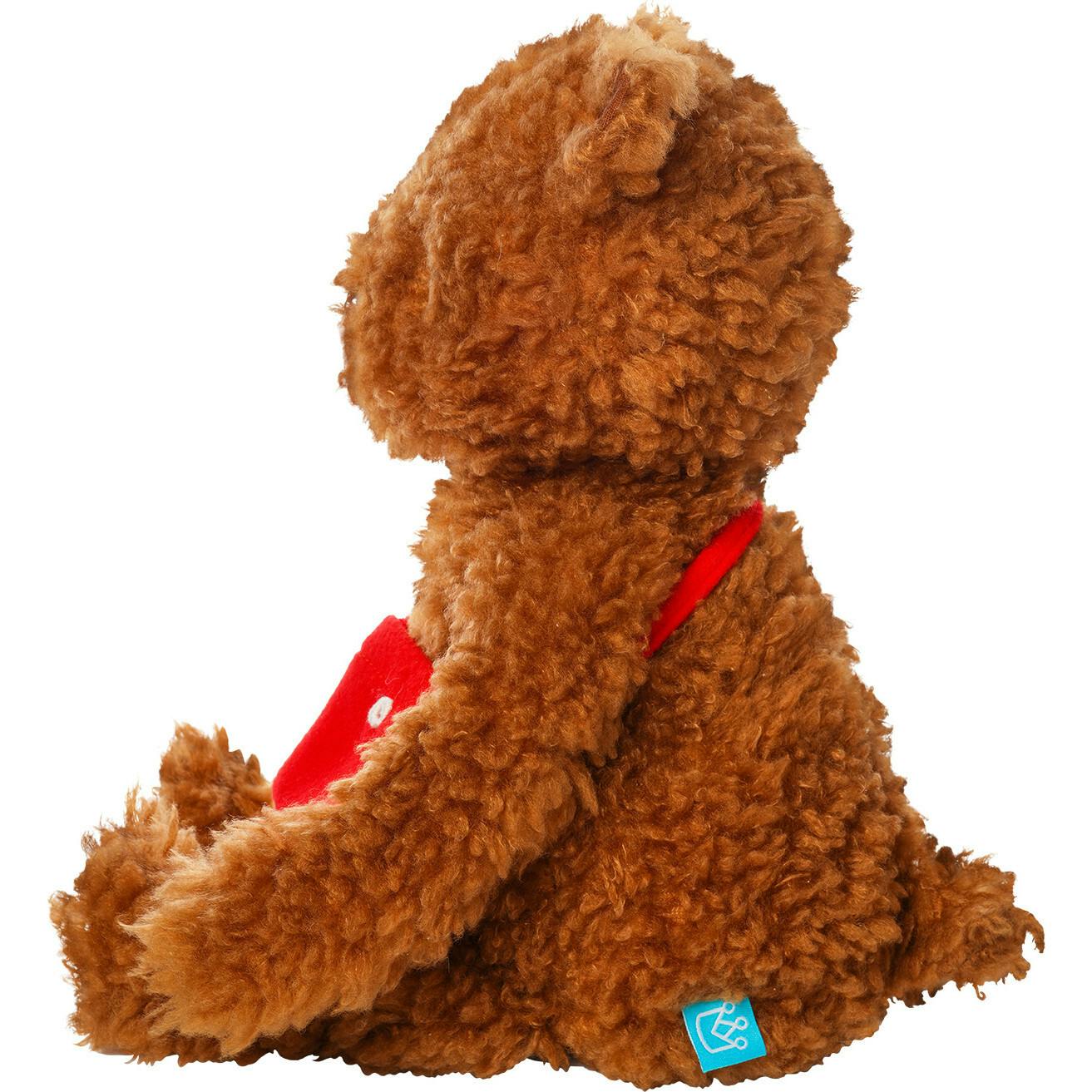 Imaginaries Bruno Bear