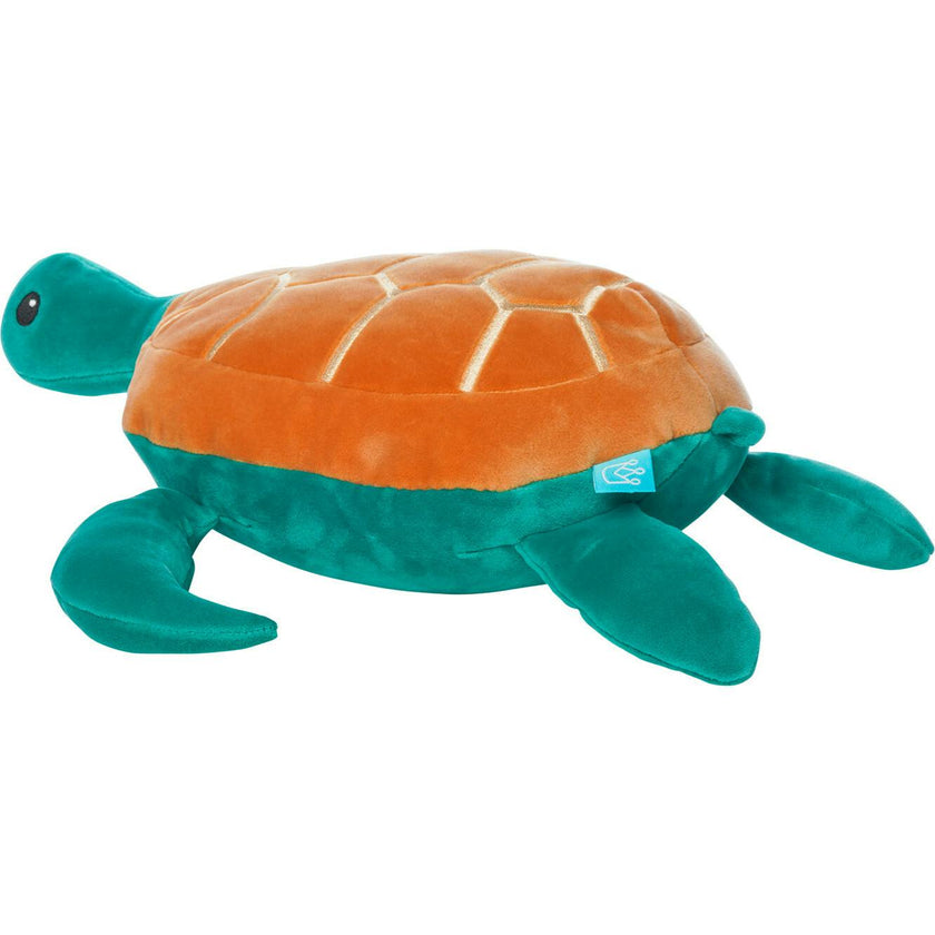 Salty Sea Turtle