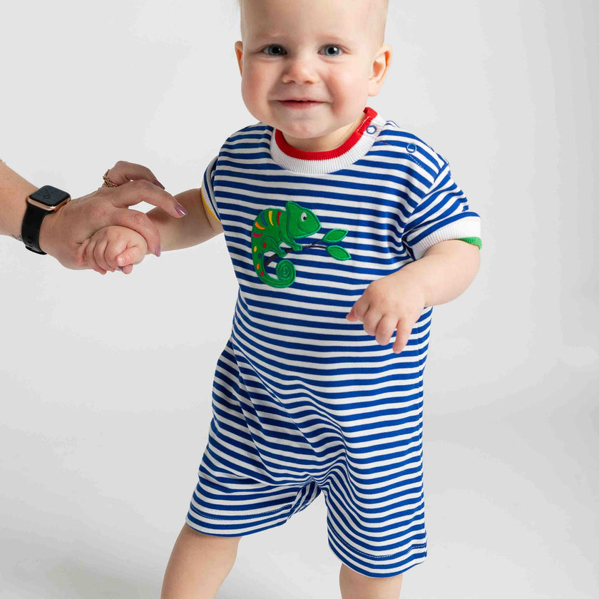 Stripe Knit Shortall With Lizard