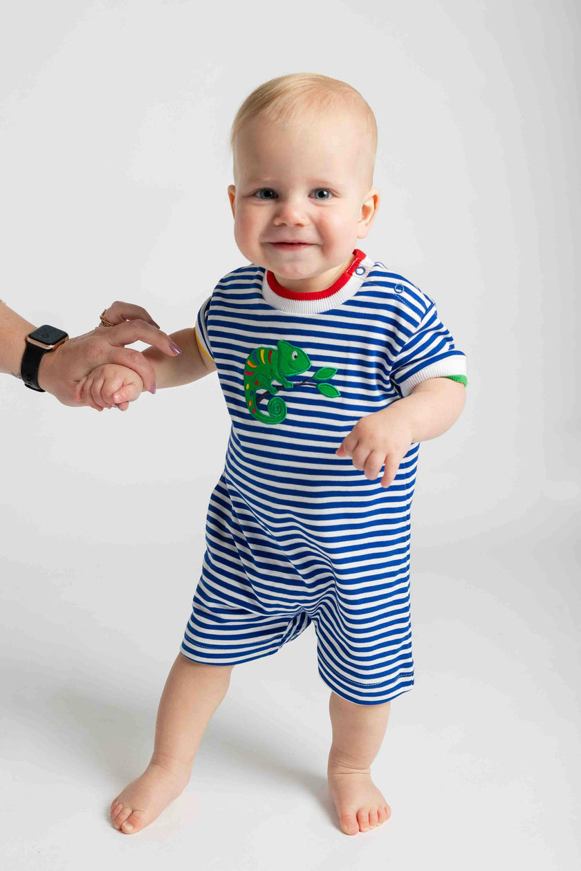 Stripe Knit Shortall With Lizard