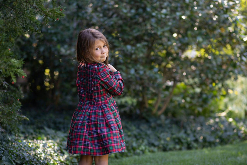 Long Sleeve Ruffle Dress in Plaid