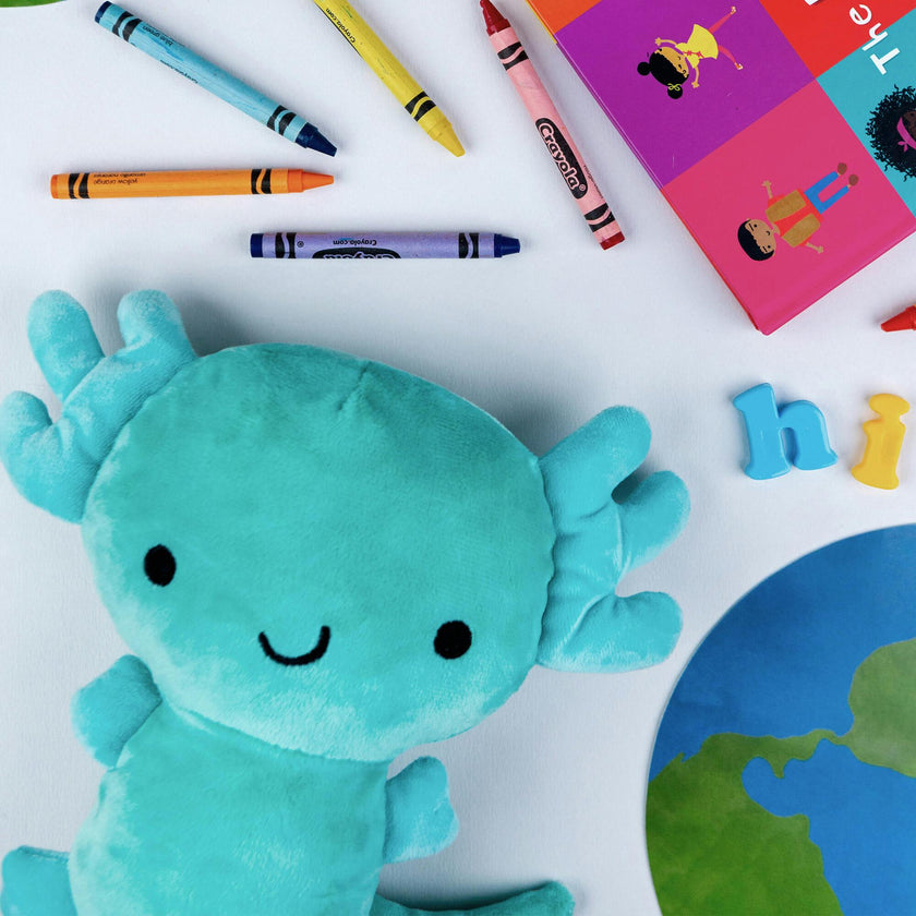 Hermelindo, Axolotl Plush Toy - OS