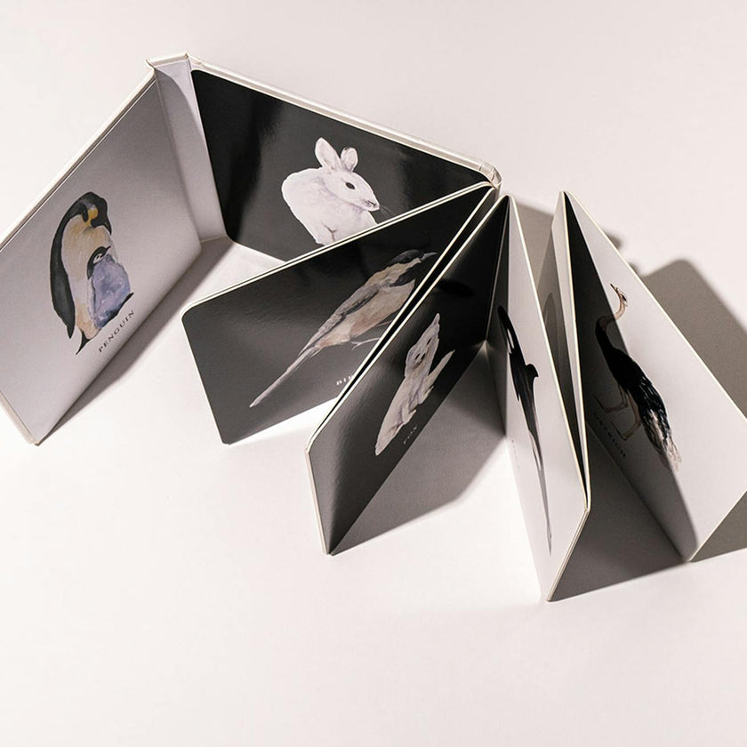 Baby's Black and White Contrast Book