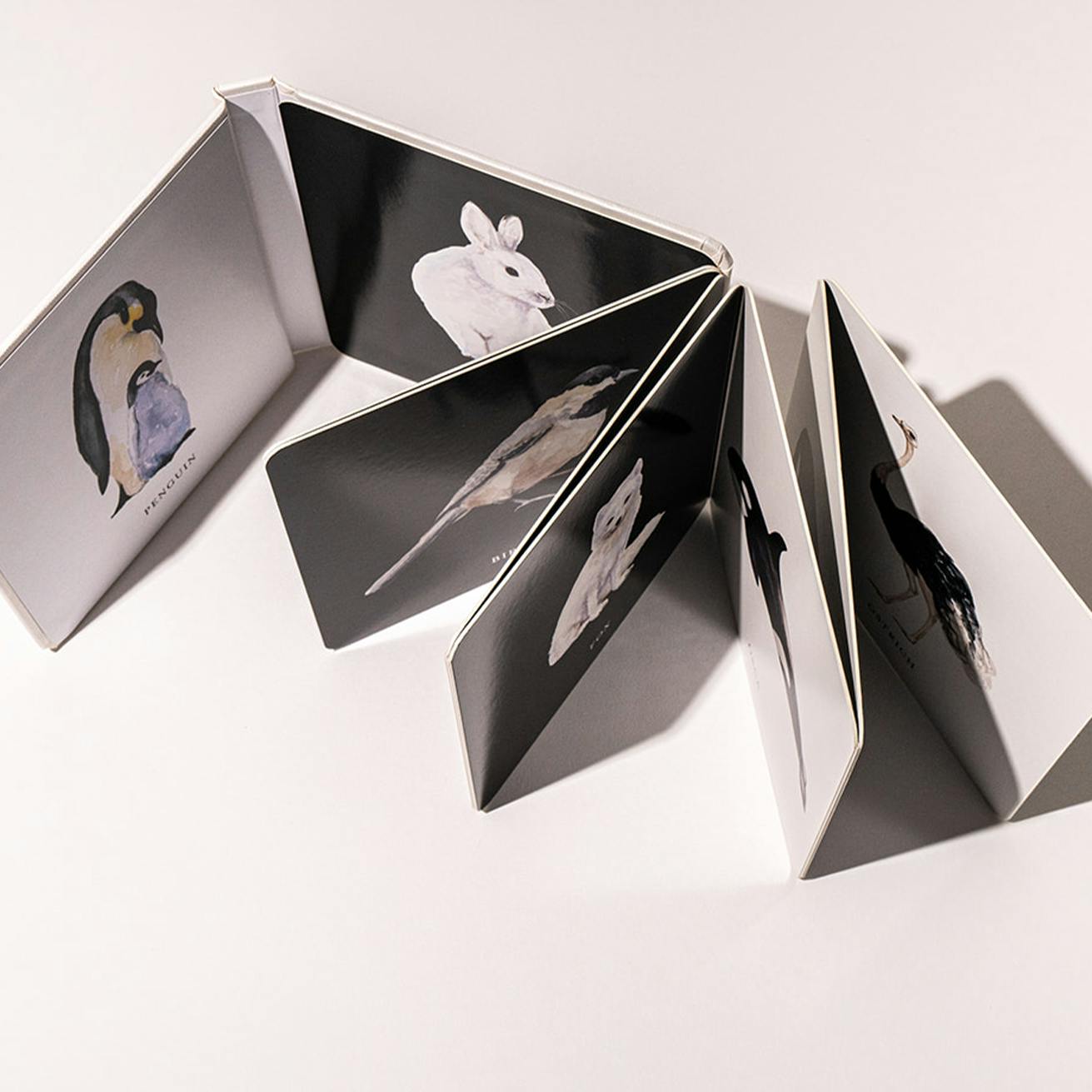 Baby's Black and White Contrast Book